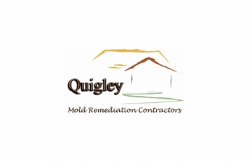 Quigley Mold Remediation