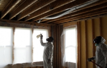 Mold Remediation